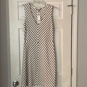 Flattering sleeveless, v-neck cotton dress